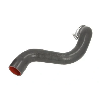 Imagem de THERMOTEC DCR201TTS Mangueira Para o Turbocompressor RENAULT: MEGANE 2 Kombi, 2, SCENIC