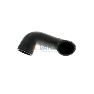 Imagem de VAICO V10 3813 Mangueira Para o Turbocompressor Borracha com entretela Q+, original equipment manufacturer quality VOLKSWAGEN: TRANSPORTER 4 Bus