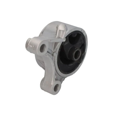 Imagem de DELPHI TEM092 Suporte, motor OPEL: Astra G CC, Caravan, Sedan