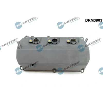 Imagem de Módulo do colector de admissão Dr.Motor Automotive DRM3903
