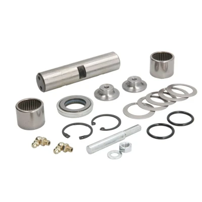 Imagem de Kit de reparação, moente do eixo (suporte da mola lâmina) REINHOCH RH21 6000