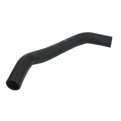 Imagem de THERMOTEC DWF088TT Mangueira de Radiador em baixo FIAT: Stilo Hatchback