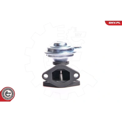Imagem de ESEN SKV 14SKV001 Válvula EGR pneumático