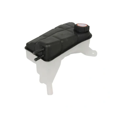Imagem de THERMOTEC DBG012TT Depósito de Compensação Refrigerante FORD: MONDEO 2 Kombi, 3, 3 Kombi