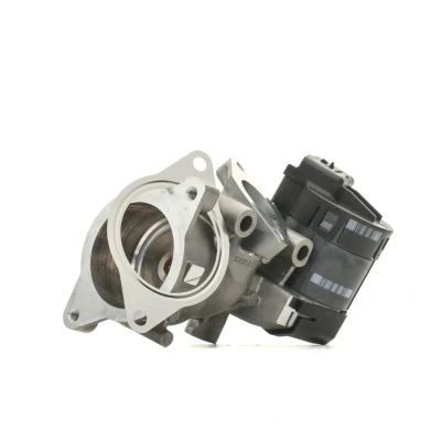 Imagem de DELPHI EG10396 12B1 Válvula EGR sem juntas PEUGEOT: 307 SW, 308 I Carrinha, CITROËN: C4 Hatchback, Grand Picasso, Coupe