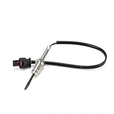 Imagem de DELPHI Sensor BMW: 5 Touring, X6, 1 Hatchback TS30363 12B1