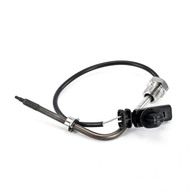 Imagem de DELPHI TS30380 12B1 Sensor
