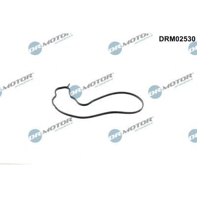 Imagem de Junta, bomba de água Dr.Motor Automotive DRM02530