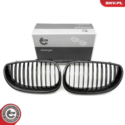 Imagem de ESEN SKV 66SKV170 Grelha de Radiador carbono BMW: 5 Sedan, Touring