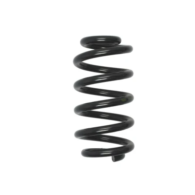 Imagem de LESJÖFORS 4204251 Mola de suspensão Eixo traseiro helicoidal AUDI: A6 C6 Avant
