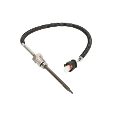 Imagem de DELPHI TS30249 Sensor