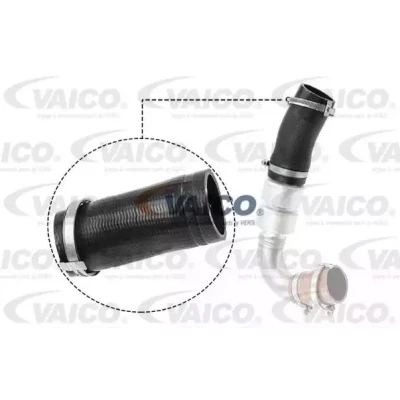 Imagem de VAICO V25 1036 Mangueira Para o Turbocompressor Borracha com entretela Q+, original equipment manufacturer quality FORD: S Max Mk1, KUGA 1
