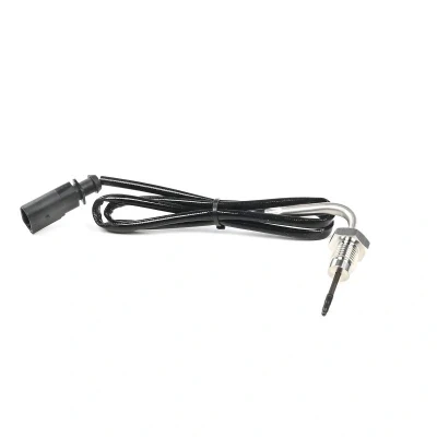 Imagem de DELPHI TS30339 12B1 Sensor VOLKSWAGEN: Golf 7, Passat B8 Sedan