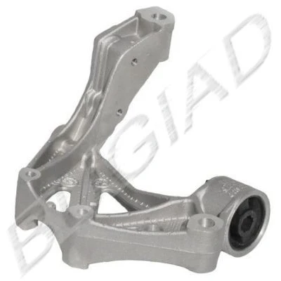 Imagem de BUGIAD BSP20326 Suporte, apoio do braço transversal VOLKSWAGEN: Polo IV Hatchback, SEAT: Ibiza 3