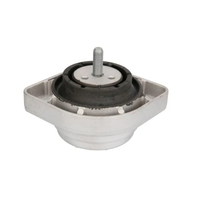 Imagem de REINHOCH RH11 3062 Suporte, motor esquerda Apoio hidráulico BMW: X3