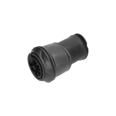Imagem de KAVO PARTS SAS 10008 Mola pneumática, chassis Eixo traseiro CITROËN: C4 I Grand Picasso