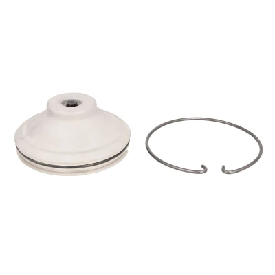 Imagem de FEBI BILSTEIN 35181 Tampa de protecção, cubo da roda com retentor
