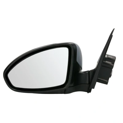 Imagem de Espelho retrovisor exterior BLIC 5402 56 009365P Links