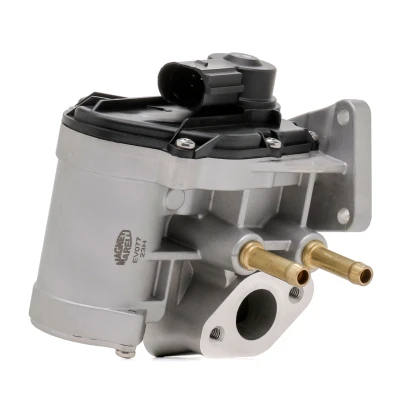 Imagem de MAGNETI MARELLI 571822112077 Válvula EGR VOLKSWAGEN: Golf 5, Polo IV Hatchback, Passat B6 Sedan, AUDI: A3 Sportback, Hatchback