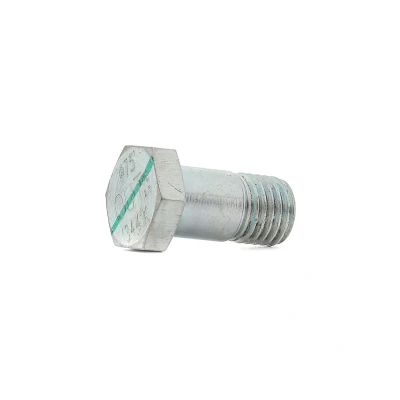 Imagem de BOSCH 1 463 456 344 Parafuso
