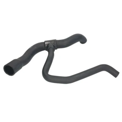 Imagem de Mangueira do radiador THERMOTEC DWX248TT