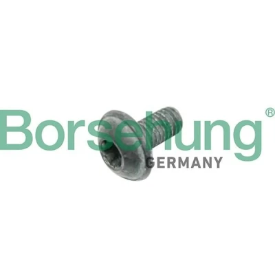 Imagem de Borsehung B10635 Parafuso, disco de travão VOLKSWAGEN: Transporter 5 Bus, Golf 4 Variant, Touareg II, SKODA: Octavia II Hatchback, I Hatchback