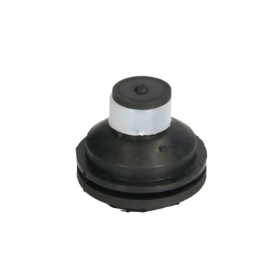 Imagem de REINHOCH RH11 2109 Suporte, motor à frente RENAULT: MEGANE 2 Kombi, GRAND SCENIC 2, Kangoo I Express