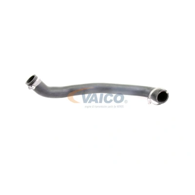 Imagem de VAICO V25 0993 Mangueira Para o Turbocompressor Borracha com entretela Q+, original equipment manufacturer quality FORD: FOCUS 3 Turnier