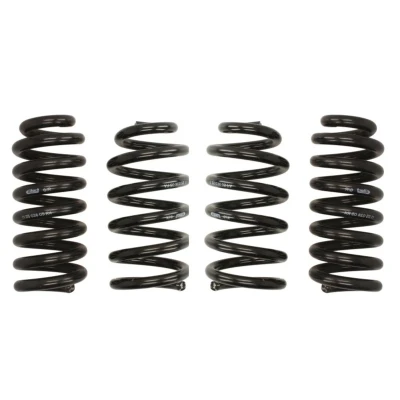 Imagem de EIBACH Pro Kit E10 25 036 05 22 de suspensão, molas MERCEDES BENZ: Classe C Sedan