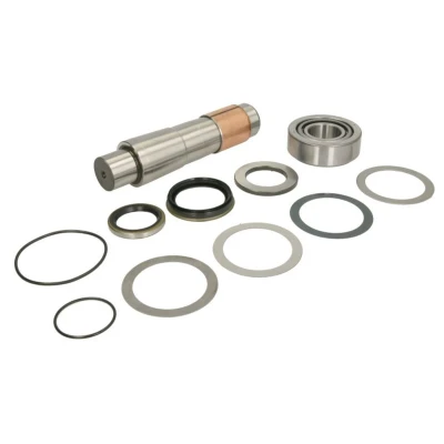 Imagem de Kit de reparação, pivô do munhão eixo C.E.I 230013