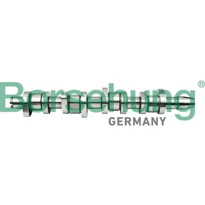 Imagem de Borsehung B17861 Árvore de Cames VOLKSWAGEN: Passat B6 Variant, Golf 5, Transporter 5 Bus, AUDI: A6 C5 Avant, A4 A3 Hatchback