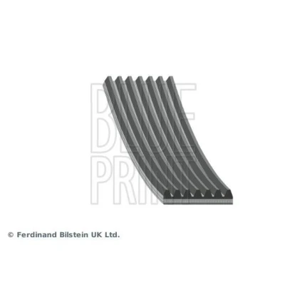 Imagem de BLUE PRINT AD07R1675 Correia trapezoidal estriada 1675mm 7 EPDM (borracha de etileno propileno dieno) RENAULT: Megane 4, Trafic 3 Bus