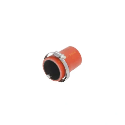 Imagem de THERMOTEC DCG174TTS Mangueira Para o Turbocompressor FORD: FOCUS 3 Turnier, MONDEO 4, 4 Stufenheck
