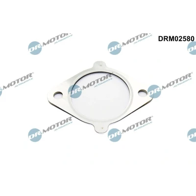 Imagem de Junta, válvula de recirculação dos gases escape Dr.Motor Automotive DRM02580