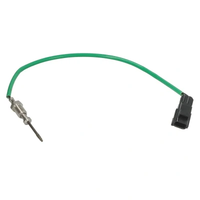 Imagem de DELPHI Sensor TS30397 12B1
