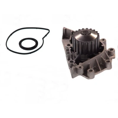 Imagem de THERMOTEC D1P042TT Bomba de água 20 com junta mecânico 59,3 PEUGEOT: 206 Hatchback, 307 SW, 607 Sedan, CITROËN: Jumpy I Van, Xsara Carrinha