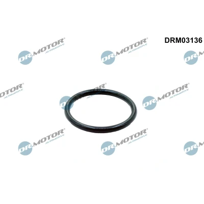 Imagem de DR.MOTOR AUTOMOTIVE DRM03136 Juntas
