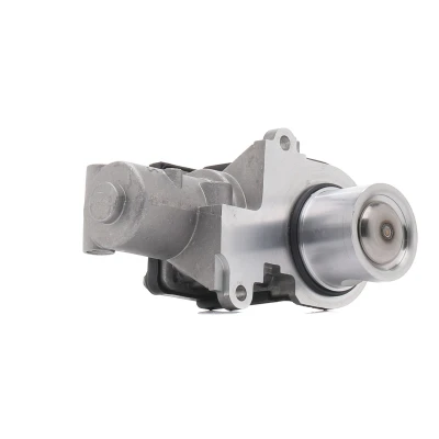 Imagem de PIERBURG 7.00789.10.0 Válvula EGR elétrico de controlo com junta