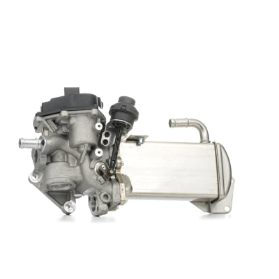 Imagem de PIERBURG 7.09720.03.0 Válvula EGR elétrico com junta AUDI: A4 B8 Sedan