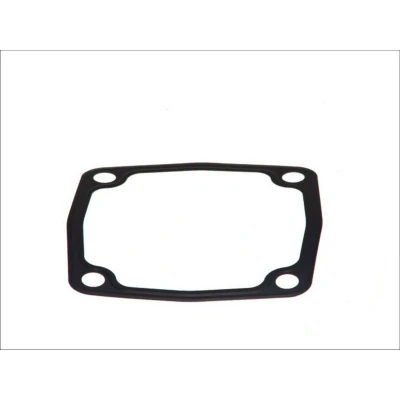 Imagem de Anel de vedação, compressor DT Spare Parts 4.20331