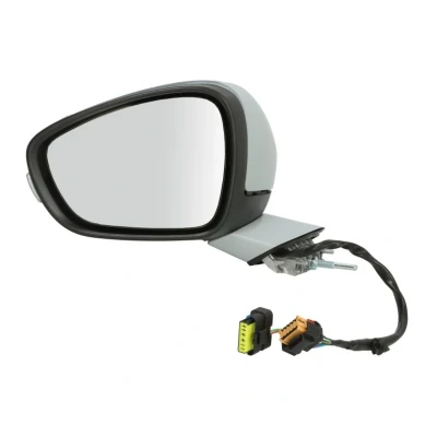 Imagem de Espelho retrovisor exterior BLIC 5402 08 035365P Links
