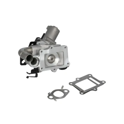 Imagem de NRF 48649 Válvula EGR com juntas