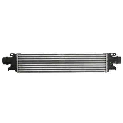 Imagem de Arrefecedor de ar admissão THERMOTEC DAX019TT