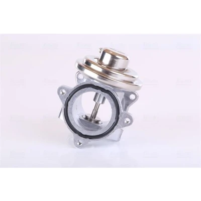 Imagem de NISSENS 98294 Válvula EGR sem radiador da recirculação dos gases de escape VOLKSWAGEN: Fox Hatchback, Polo IV SEAT: Ibiza 3