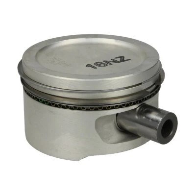 Imagem de Pistão MAHLE 011 08 00