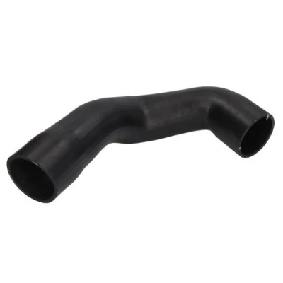 Imagem de THERMOTEC DCI010TT Tubo flexível de admissão, filtro ar