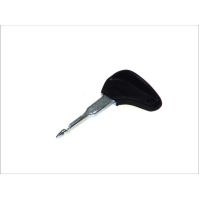 Imagem de BOSCH 3 341 982 101 Chave