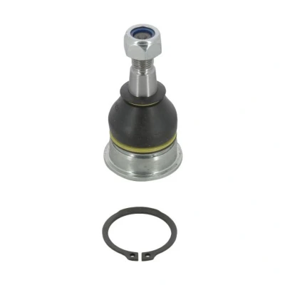 Imagem de MOOG TO BJ 2274 Rótula de suspensão ambos os lados, em baixo, Eixo dianteiro 16,5 37 TOYOTA: Yaris II Hatchback, I Hatchback
