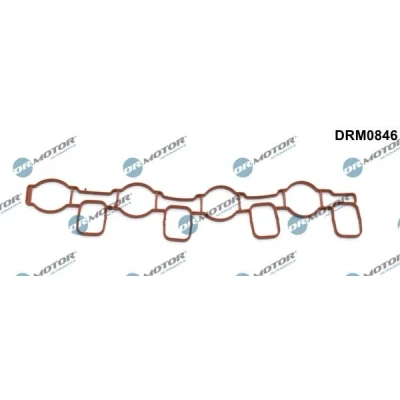 Imagem de DR.MOTOR AUTOMOTIVE DRM0846 Junta de Coletor admissão Colector AUDI: A3 Hatchback, A6 C6 Avant, A5 B8 Cabrio, VOLKSWAGEN: GOLF 6