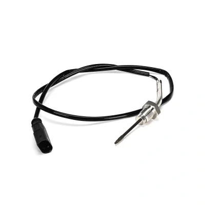 Imagem de DELPHI Sensor TS30383 12B1